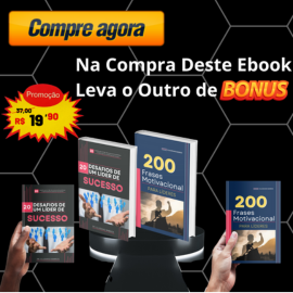 Ebook 20 Desaio de um Lider de Sucesso + Bonus